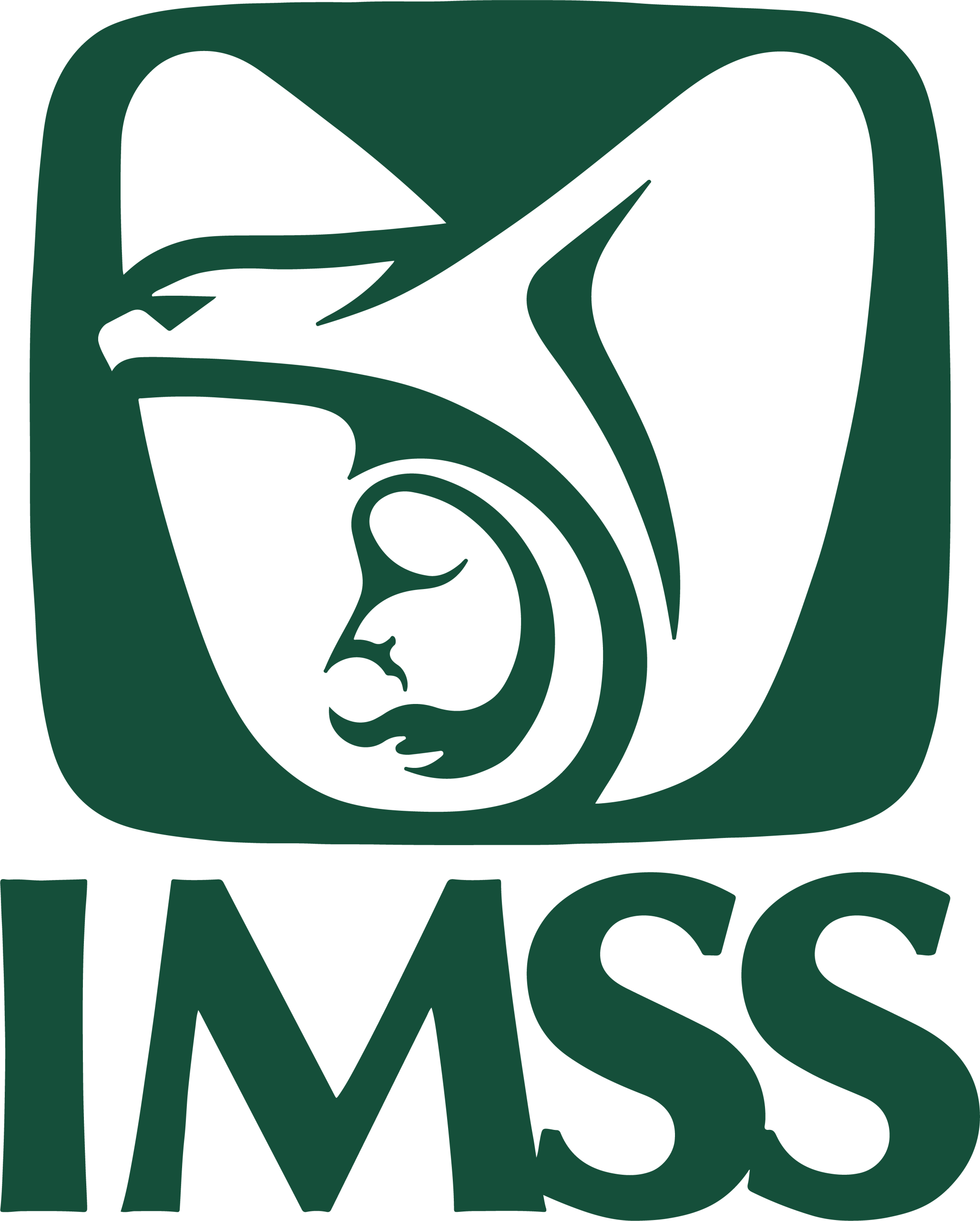 Logo IMSS